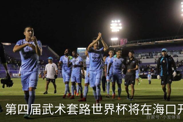 第四届武术套路世界杯将在海口开赛 30多个国家和地区人员参赛